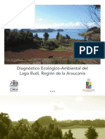 Diagnóstico Ecológico Medioambiental Del Budi PDF