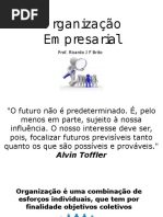 Organização Empresarial_Aula 01