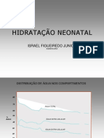 hidratacaofigueiredoI.pdf