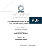 Aprovechamiento de Bagazo de Agave Tequilana "Título de La Tesis" (TraWtaredbe Eharceprlao Rcoamlparenpsriboledpauracecl Ipóúbnlicdo Egenbeiroal,-Shinidabrróevgiaetunraos)