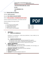 Informe Peso Unitario