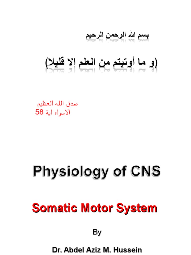 Upper and Lower Motor Neuron Lesions PDF Motor Neuron Muscle Contraction