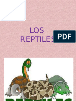 Presentacion Los Reptiles