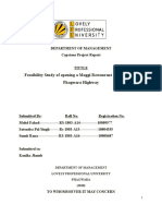 31735312-Feasibility-Study.doc