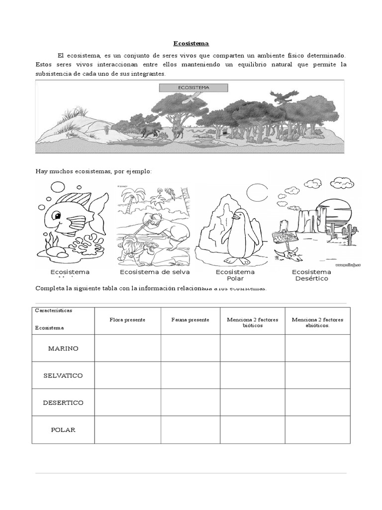 Ecosistema 1 | PDF | Ecosistema | Ecología
