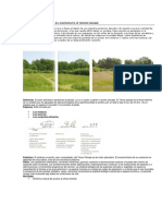 Sistemas de Jardín en movimiento.pdf