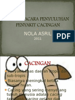 Penyakit Kecacingan