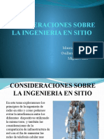 CONSIDERACIONES SOBRE LA INGENIERIA EN SITIO.pptx