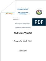 Nutricion Vegetal Relacion Lechuga Fertilizante