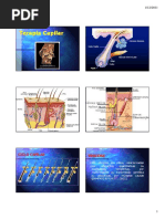 terapia capilar.pdf