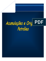 Petroleo.pdf