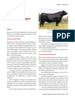 Aberdeen Angus.pdf