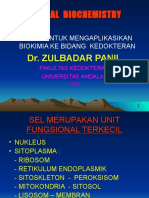 ADAPTATION LECTURE ZP.ppt