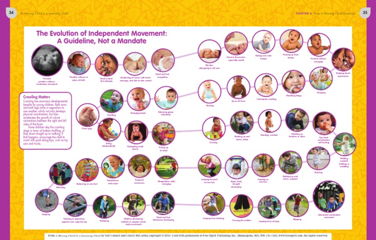 Movement Stages | PDF