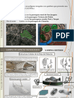 Taller Arquitectónico - Memoria Descriptiva