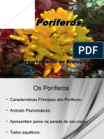 os-porferos-1222820510452220-8