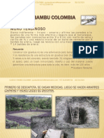 Proceso Construccion Muro Tendinoso Guadua Colombia PDF
