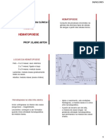 Aula 2 - Hematopoiese