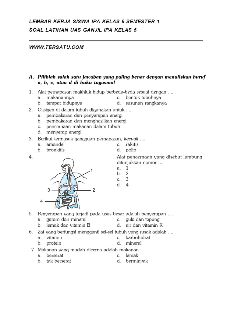 Soal Ipa Ukk Kls 5 Ktsp