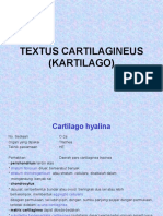 Textus Cartilagineus