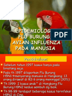 Epid Peny Flu Burung