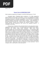 Download Report Text of Sumatran Tiger by dini SN320037731 doc pdf