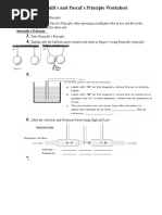 Bernoulli and Pascal Worksheet