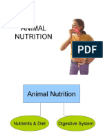 Nutrients and Diet PDF