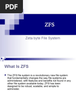 Zfs Introduction