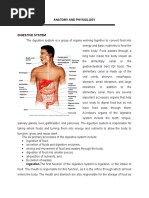 Anatomy and Physiology of The Digestive System