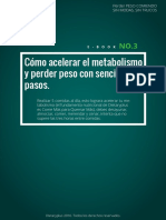 Acelerar El Metabolismo PDF