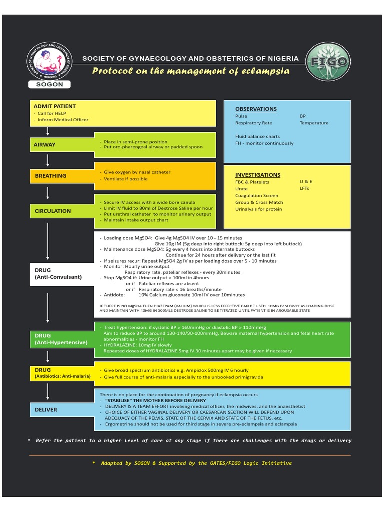 Eclampsia Management Protocol Guide | PDF | Clinical Medicine ...
