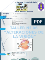 TALLER (Alteraciones de La Visión)