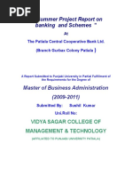 "A Summer Project Report On Banking and Schemes ": Master of Business Administration (2009-2011)