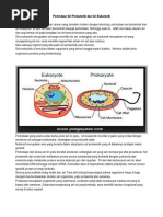 Tugas Biologi Dan Tik