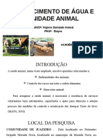 Abastecimento de Água e Sanidade Animal - Slide