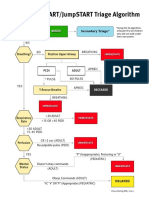 Combined Start/Jumpstart Triage Algorithm: Minor