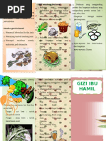 Download Leaflet Gizi Ibu Hamil by izmi SN320090690 doc pdf