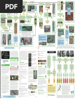 British Earthworms: Start Here