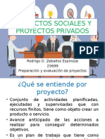 Proyectos Sociales y Proyectos Privados