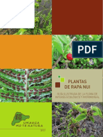 Plantas_de_RapaNui_UMTN.pdf