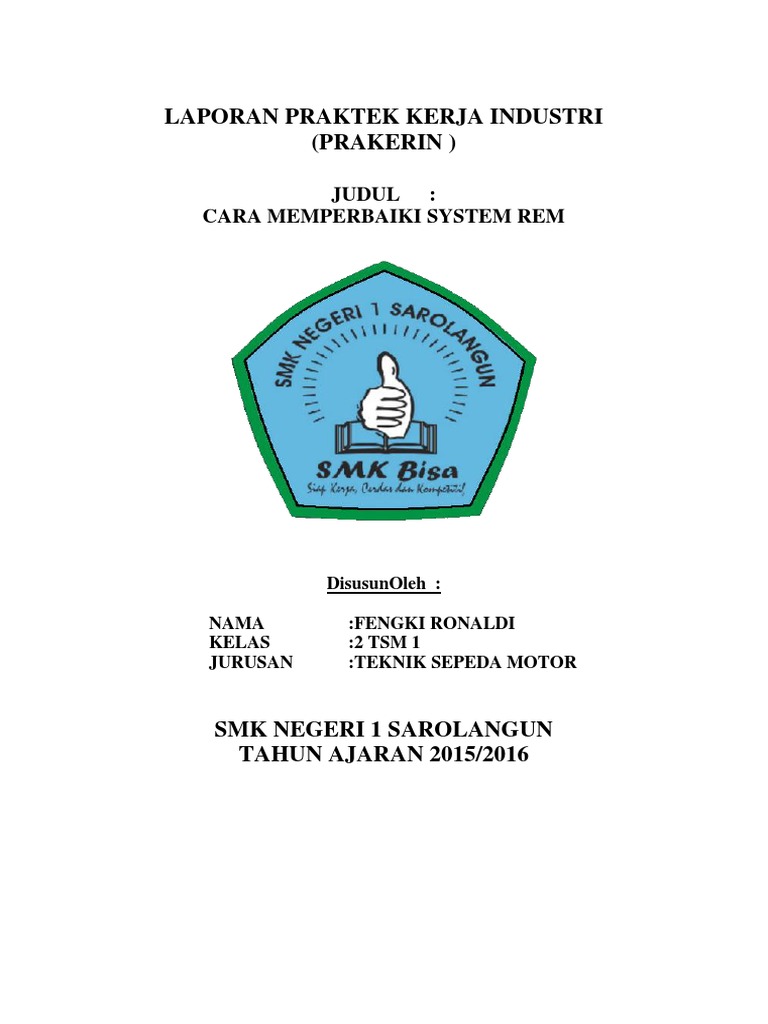 LAPORAN anak tsm 2016.pdf