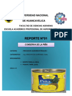 Informe de La Conserva