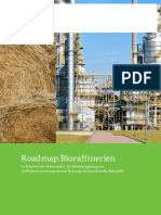 RoadmapBioraffinerien PDF