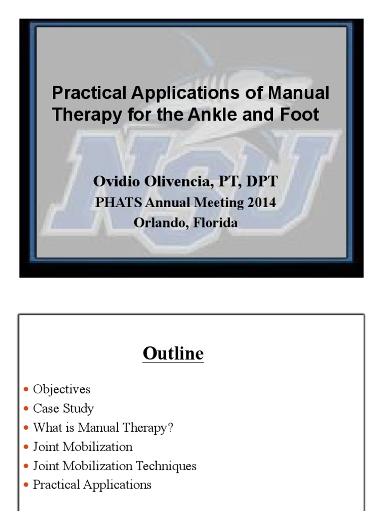 Practical Applications of Manual Therapy For The Ankle and Foot PDF
