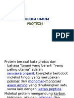 Biol Um 2 Protein