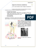 Microbiología de Las Infecciones Endodonticas