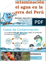 Contaminacion Del Agua en La Sierra Del Peru
