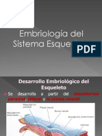 Embriologia Sist Esqueletico