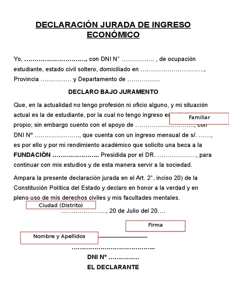 Declaración Jurada de Ingresos Económicos | PDF | Ciencias sociales